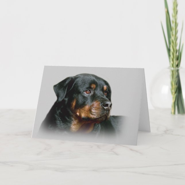 Rottweiler Greeting Card (Front)