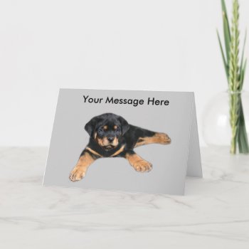 Rottweiler Greeting Card by normagolden at Zazzle