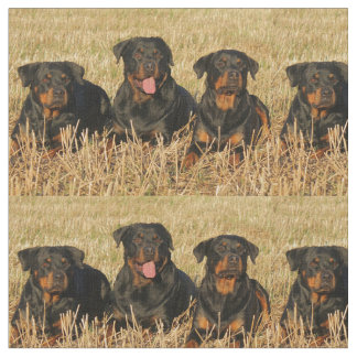 rottweiler-group.png fabric