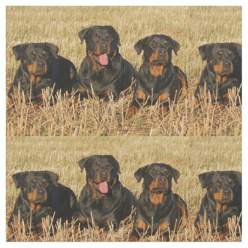 rottweiler-group.png fabric