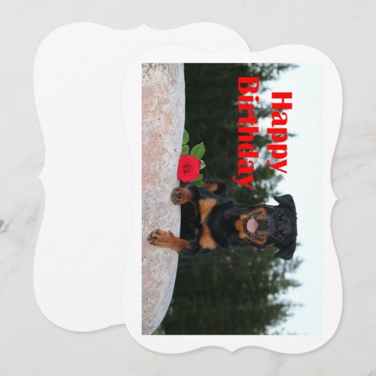 rottweiler happy birthday (Front/Back)