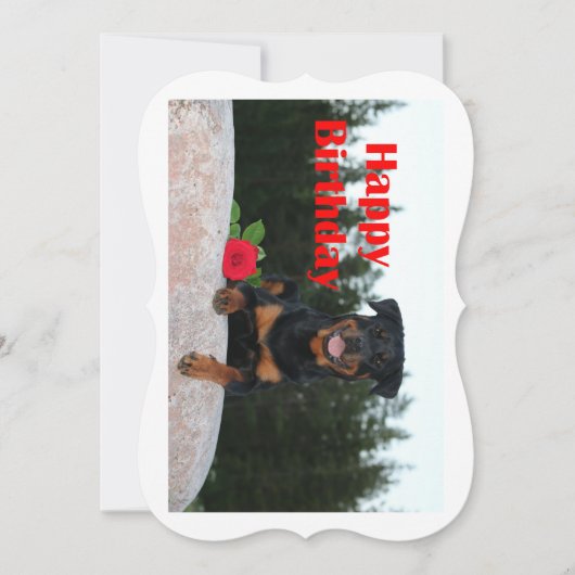 rottweiler happy birthday (Front)