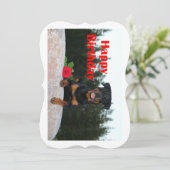 rottweiler happy birthday (Standing Front)