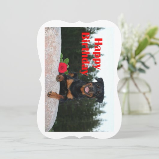 rottweiler happy birthday (Standing Front)