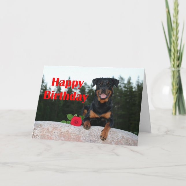 rottweiler happy birthday card (Front)