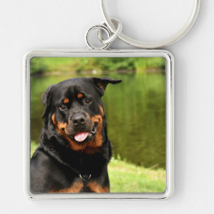 rottweiler keyring