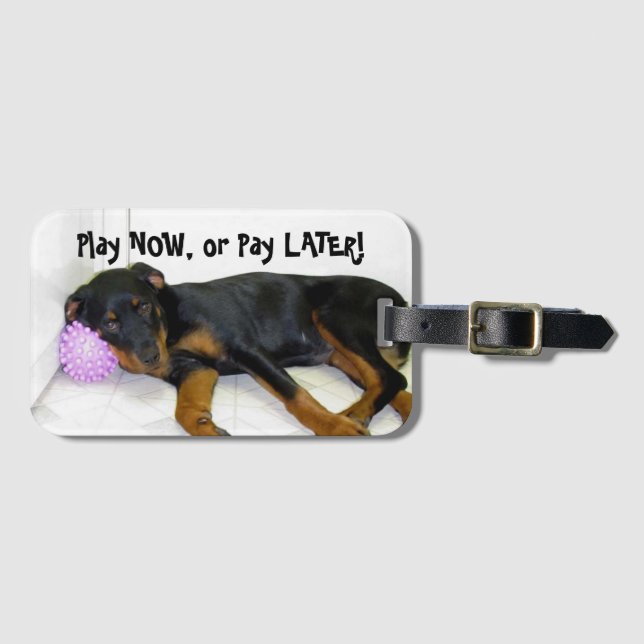 Rottweiler Heidi Play Now, Pay Later Luggage Tag (Front Horizontal)
