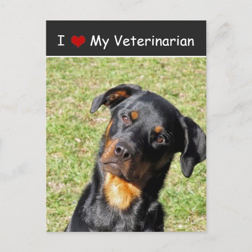 Rottweiler I Love My Veterinarian Postcard