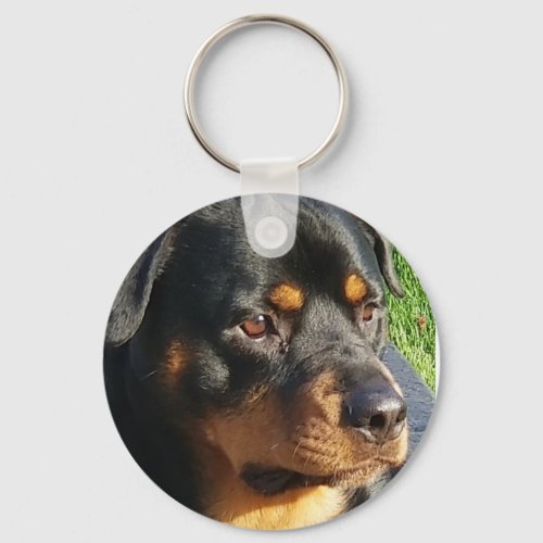 Rottweiler key chain