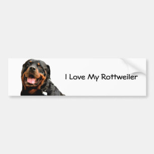 Rottweiler Love Bumper Sticker