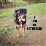 rottweiler love w pic tan cutout<br><div class="desc">r</div>
