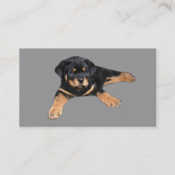 Rottweiler Lover Business Card by normagolden at Zazzle