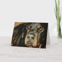 Rottweiler Lover Pet Portrait