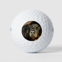 Rottweiler Lover Pet Portrait