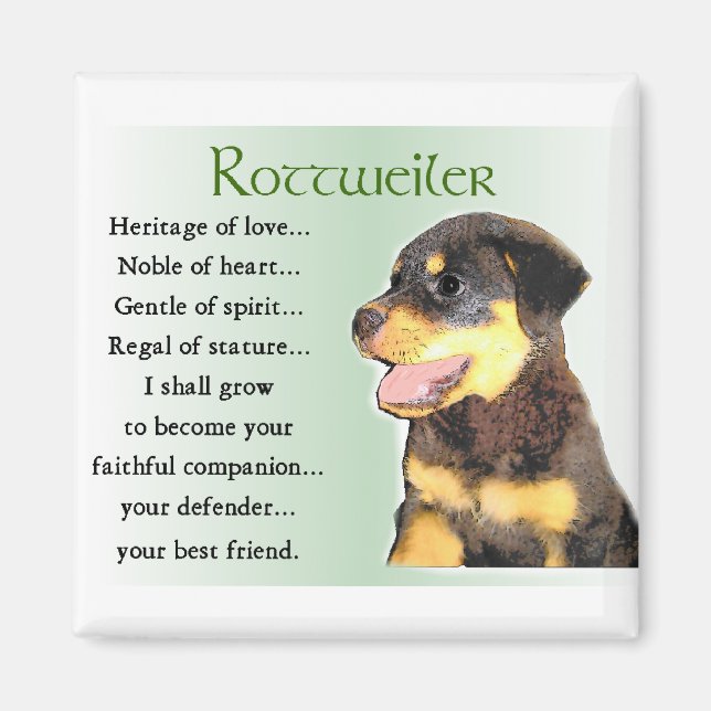 Rottweiler Lovers Gifts Magnet (Front)