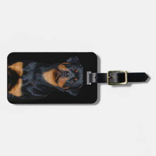 Rottweiler   luggage tag