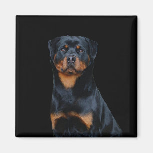 Rottweiler magnet