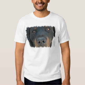 Rottweiler T-Shirts & Shirt Designs | Zazzle