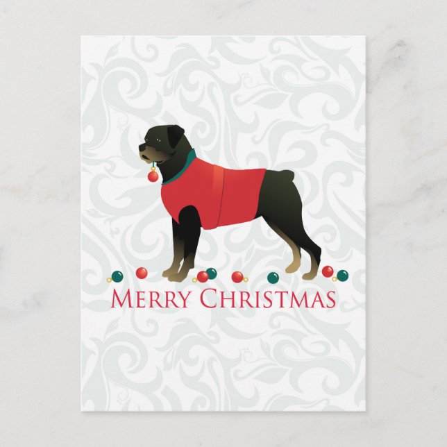 Rottweiler Merry Christmas Design Holiday Postcard (Front)
