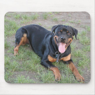 Rottweiler Mouse Pad