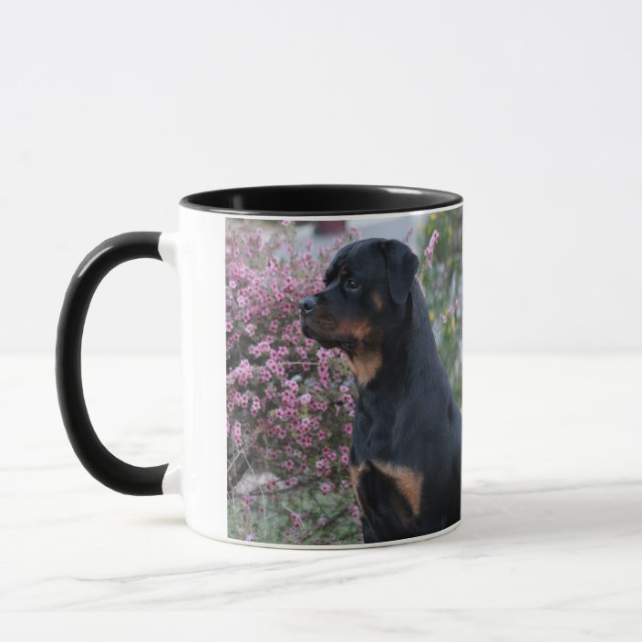 rottweiler mug