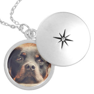 Rottweiler Necklace pendent locket