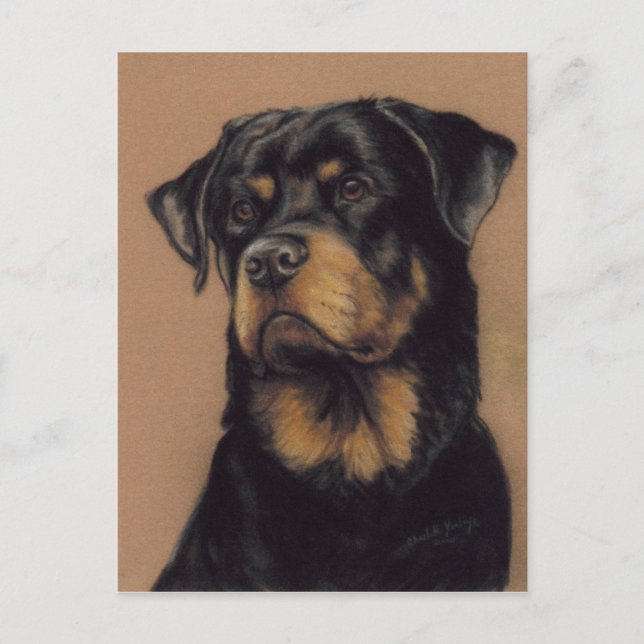 Rottweiler Original art Postcard (Front)