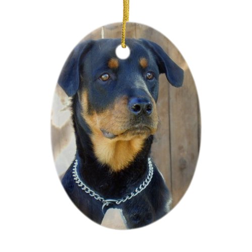 Rottweiler Ornament