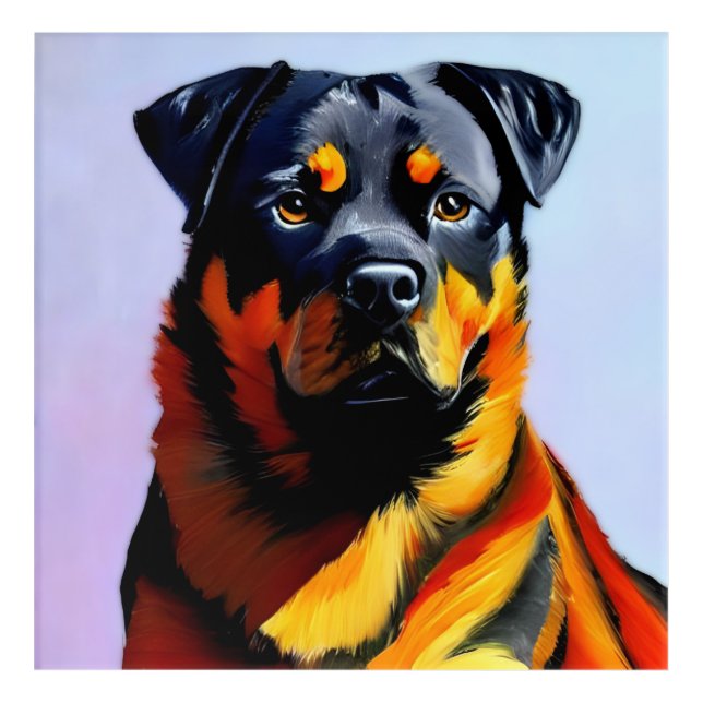 Rottweiler painting acrylic print (Front)