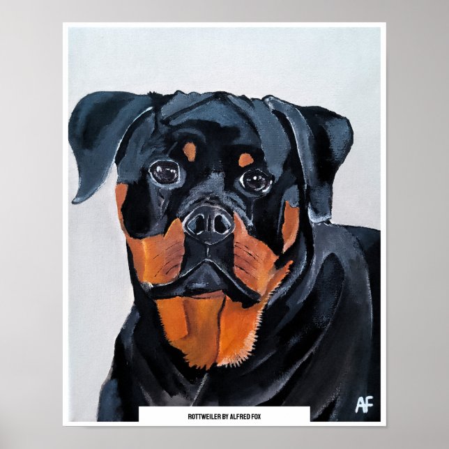 Rottweiler Painting by Alfred Fox Poster (Front)