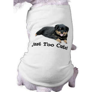 dog sweaters for rottweilers