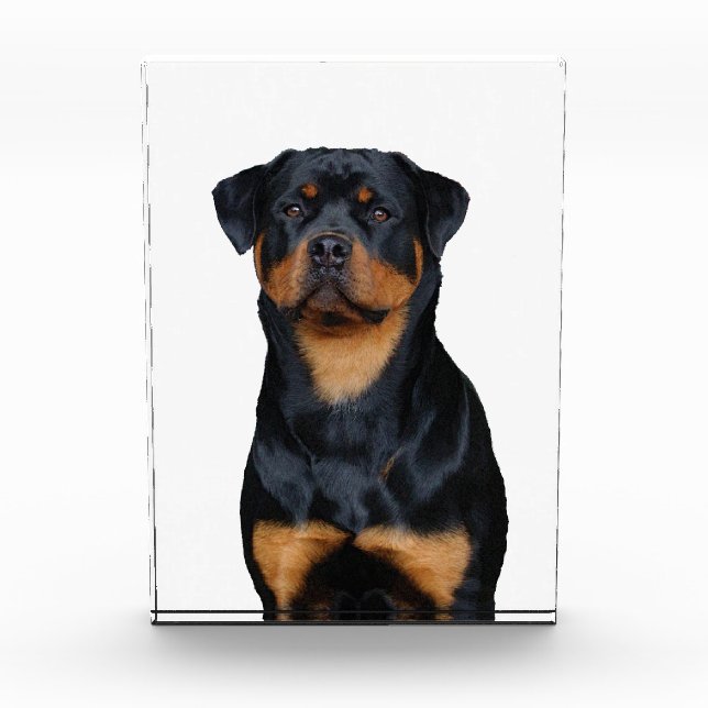 Rottweiler   photo block (Front)