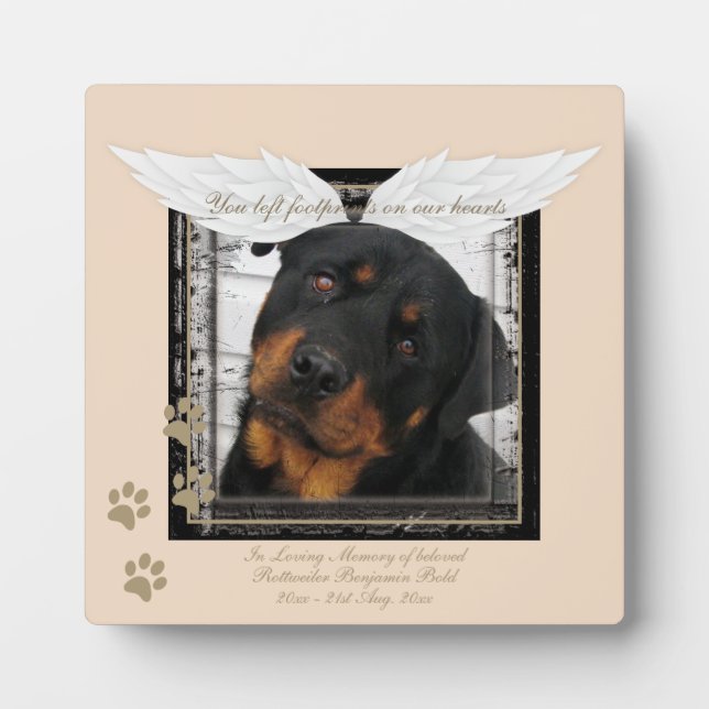 Rottweiler Photo Memorial Angel Wings Paw Prints Plaque (Front)