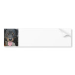 Rottweiler Picture Bumper Sticker