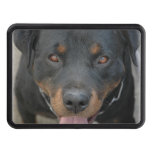 Rottweiler Picture Tow Hitch Cover