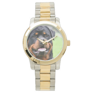 Rottweiler.png Watch