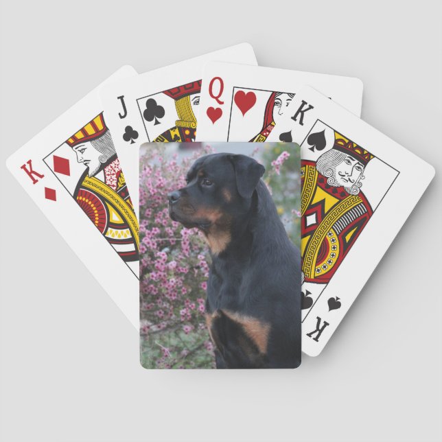 Rottweiler Poker Cards (Back)