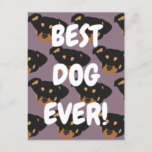 Rottweiler postcard