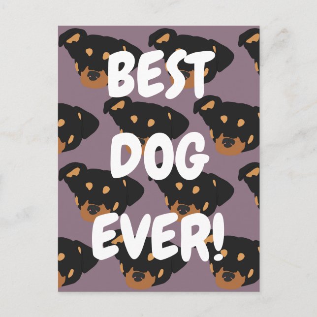 Rottweiler  postcard (Front)
