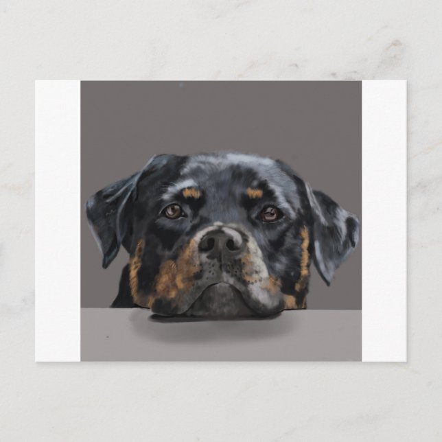 Rottweiler Postcard (Front)