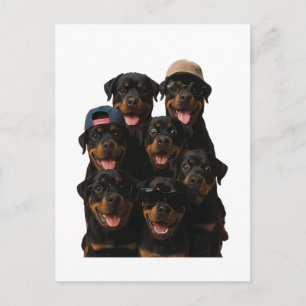 Rottweiler Postcard