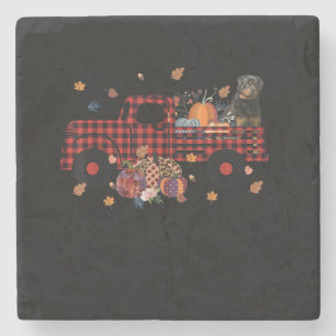 Rottweiler Pumpkin Truck Thanksgiving Halloween Stone Coaster