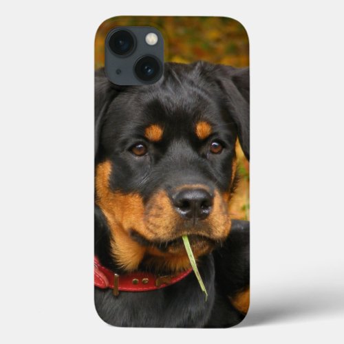 Rottweiler Pup Lying On The Ground In Forest iPhone 13 Case