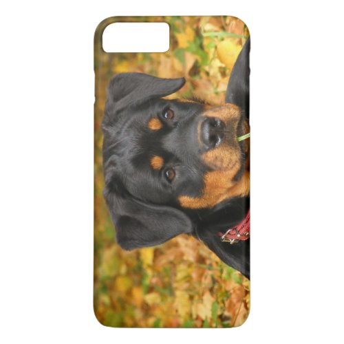 Rottweiler Pup Lying On The Ground In Forest iPhone 8 Plus7 Plus Case