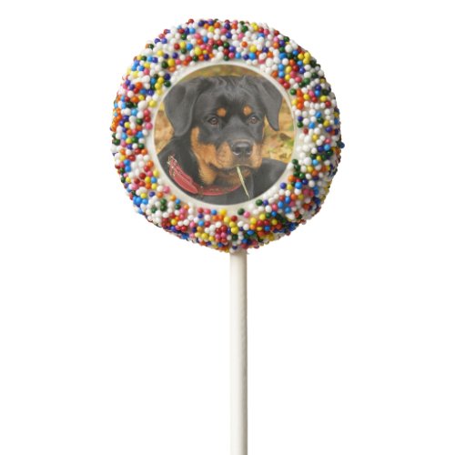 Rottweiler Pup Lying On The Ground In Forest Chocolate Covered Oreo Pop