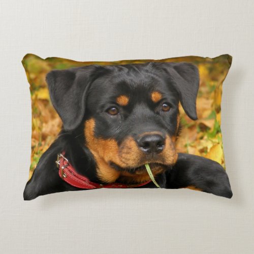 Rottweiler Pup Lying On The Ground In Forest Decorative Pillow