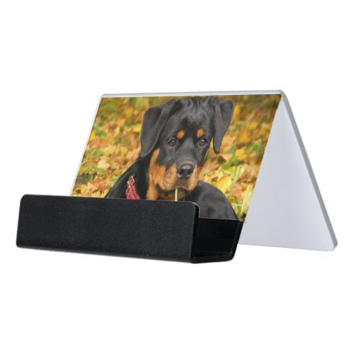 Rottweiler Pup Lying On The Ground In Forest Desk Business Card Holder