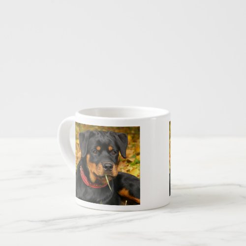 Rottweiler Pup Lying On The Ground In Forest Espresso Cup