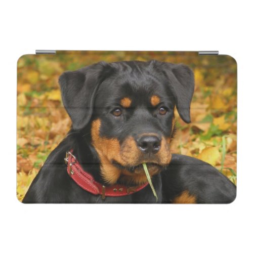 Rottweiler Pup Lying On The Ground In Forest iPad Mini Cover