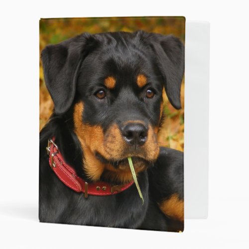 Rottweiler Pup Lying On The Ground In Forest Mini Binder